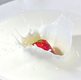 Yogurt Processing Machine