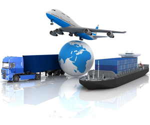 Transportation Network