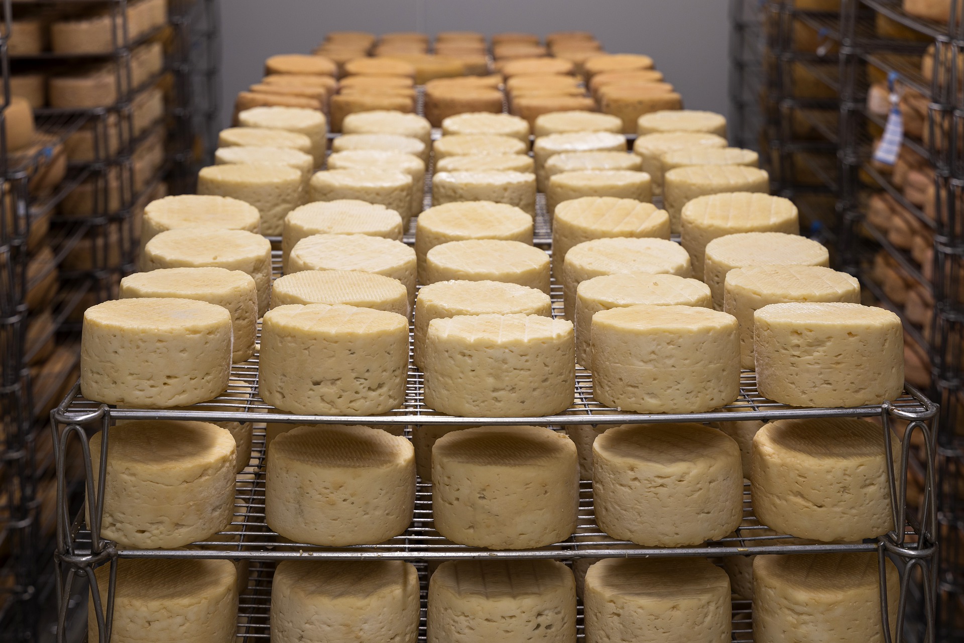 cheese-5125021_1920